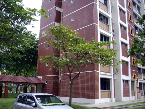Choa Chu Kang Avenue 1 thumbnail photo